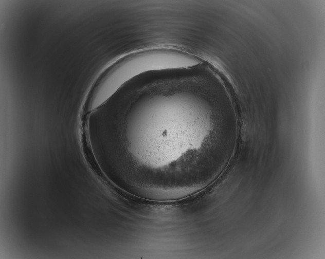 X0000089381024200706291313