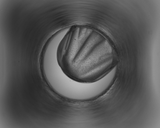 X0000089381026200706291313