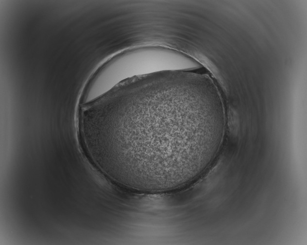 X0000089381028200706291313