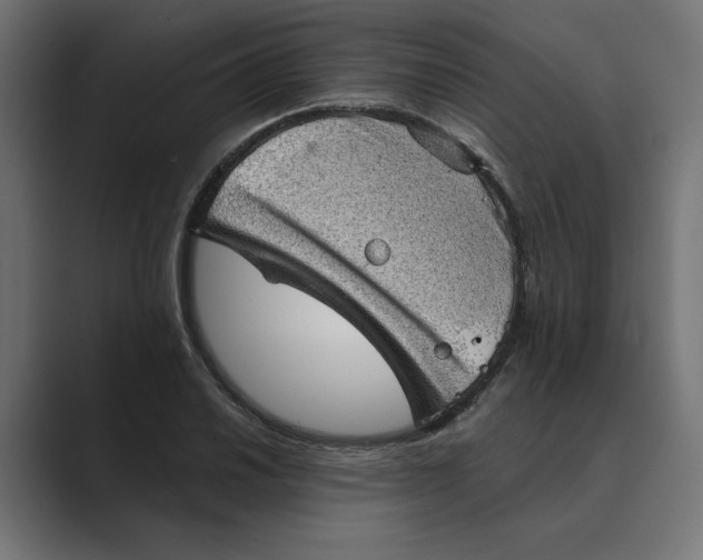 X0000089381030200706291313