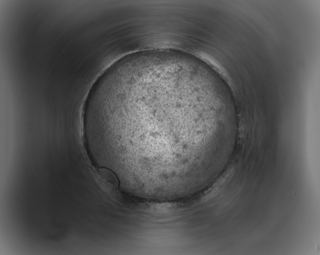 X0000089381031200706291313