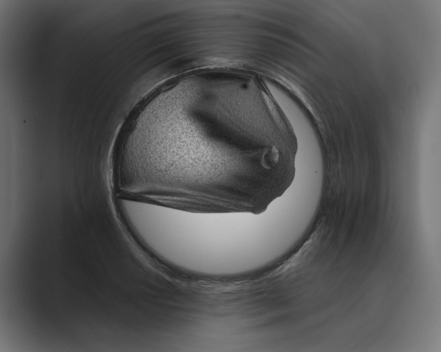 X0000089381034200706291313