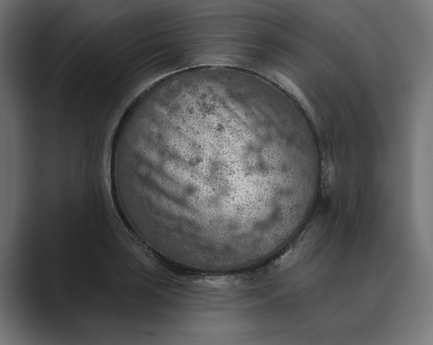 X0000089381035200706291313