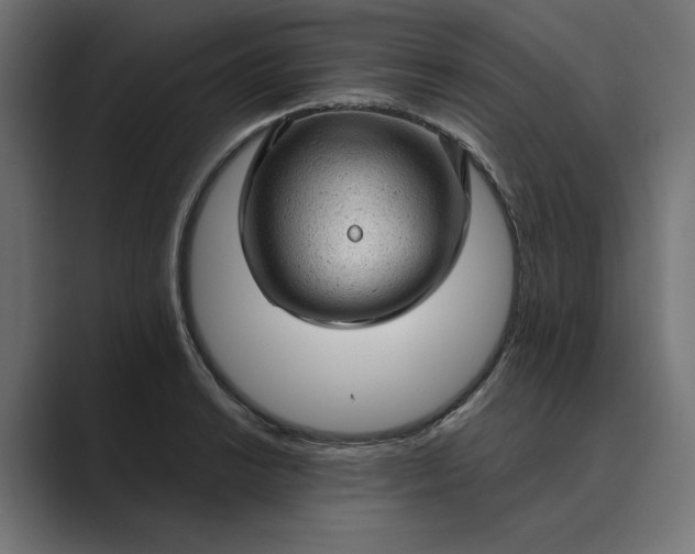 X0000089381038200706291313
