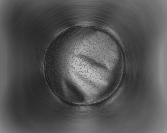 X0000089381041200706291313
