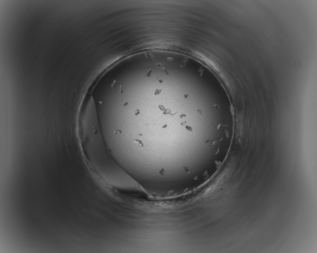 X0000089381042200706291313