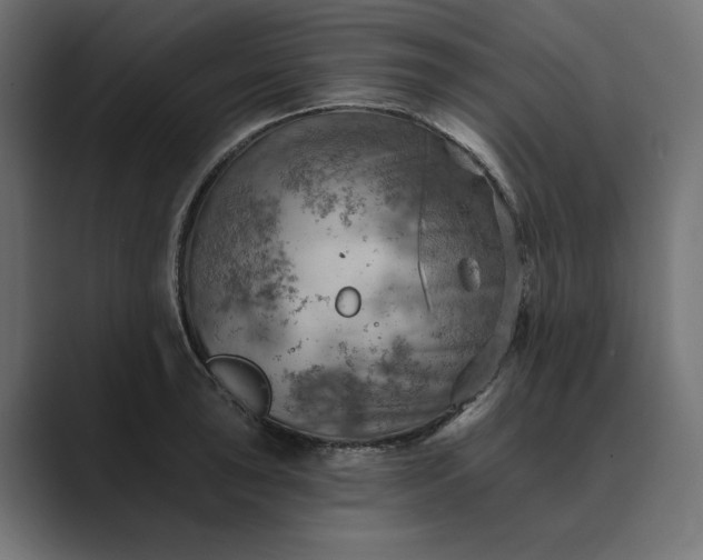 X0000089381043200706291313