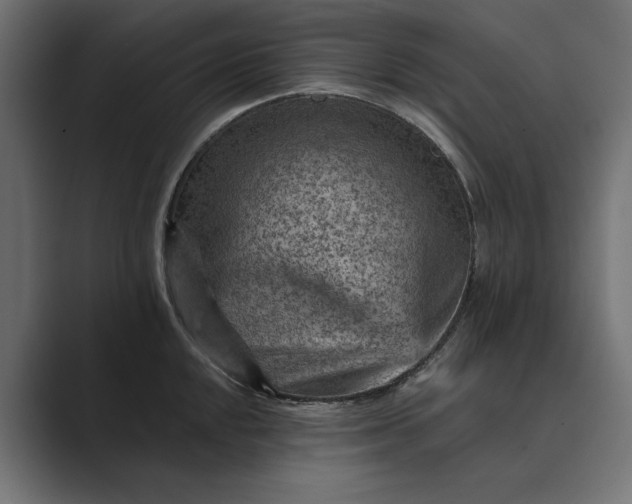 X0000089381048200706291313