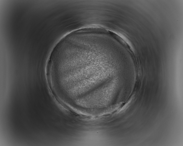 X0000089381054200706291313
