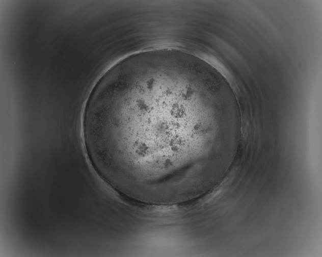 X0000089381055200706291313