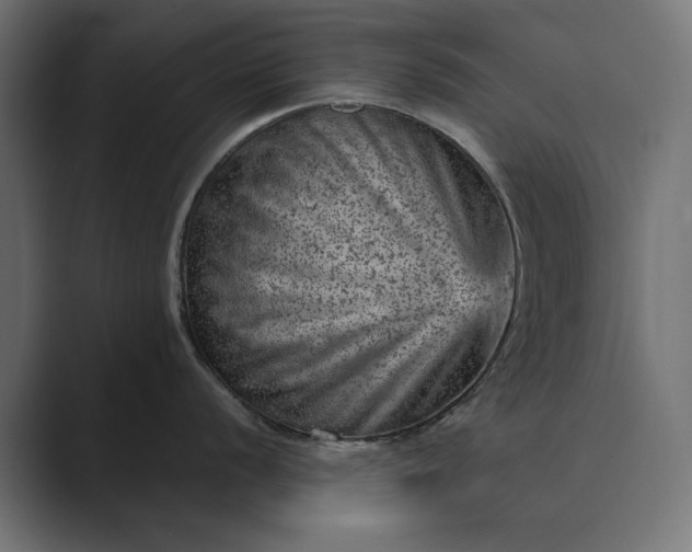 X0000089381056200706291313