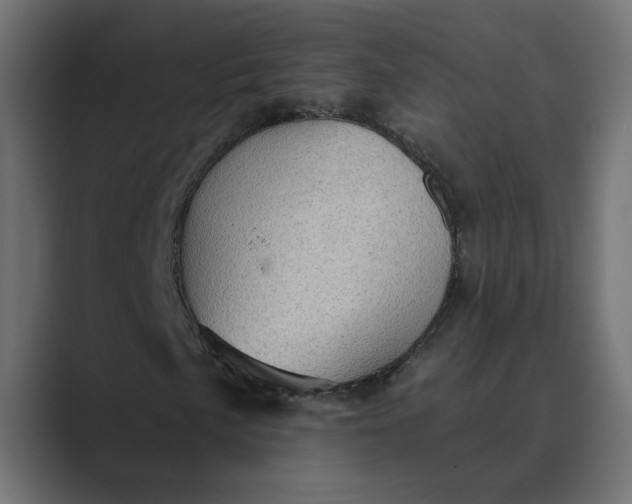 X0000089381057200706291313