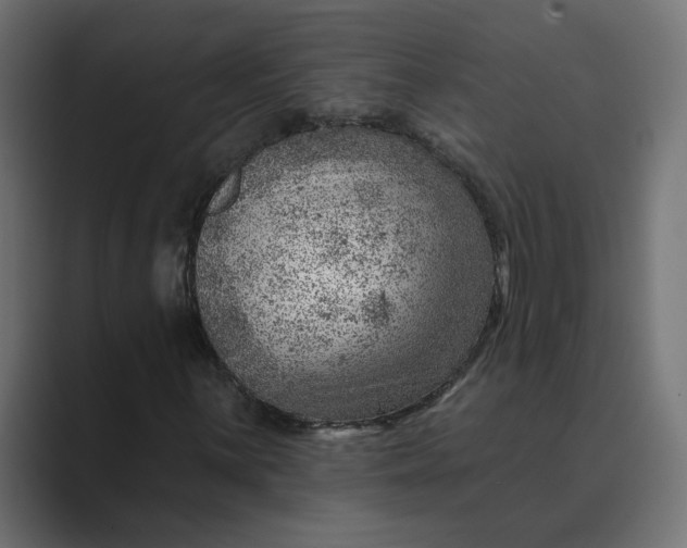 X0000089381059200706291313