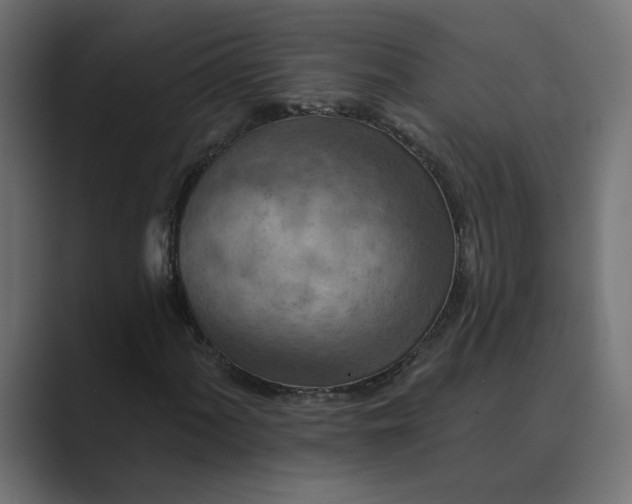 X0000089381060200706291313