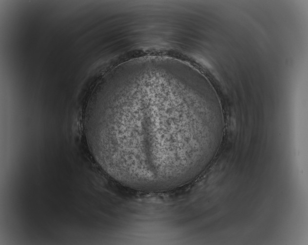X0000089381063200706291313