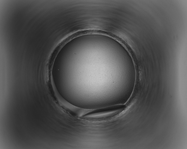 X0000089381069200706291312