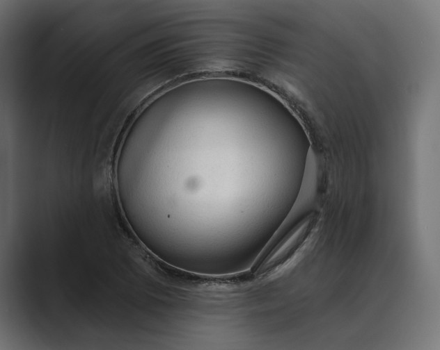 X0000089381073200706291312
