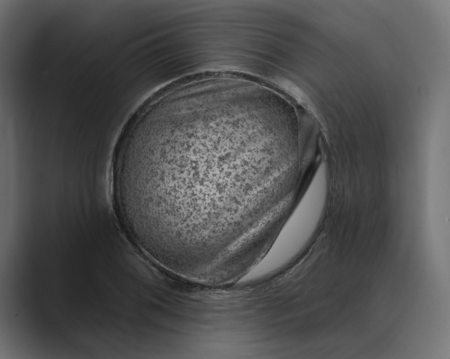 X0000089381076200706291312