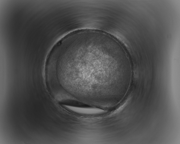 X0000089381077200706291312