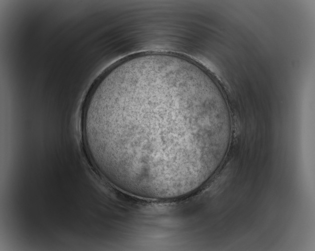 X0000089381078200706291312
