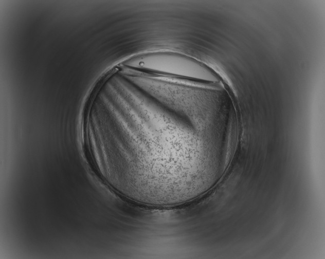 X0000089381080200706291312