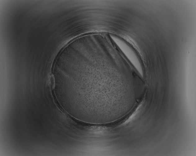X0000089381081200706291312