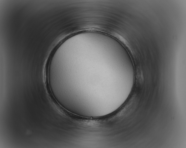 X0000089381082200706291312