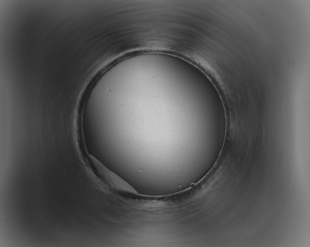 X0000089381085200706291312