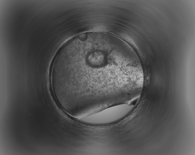 X0000089381087200706291312