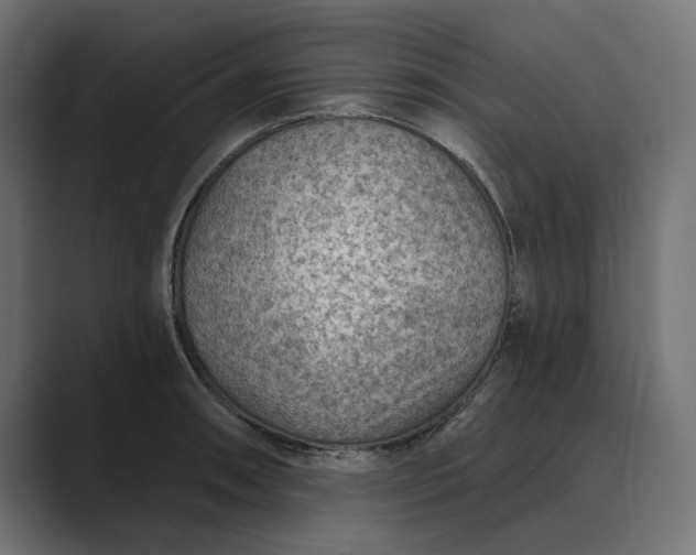 X0000089381090200706291312
