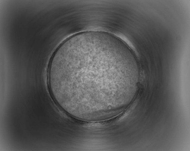 X0000089381094200706291312
