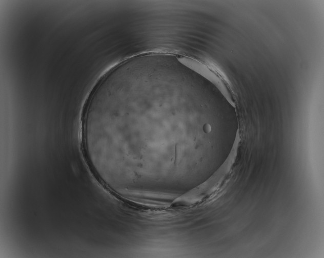 X0000089381095200706291312