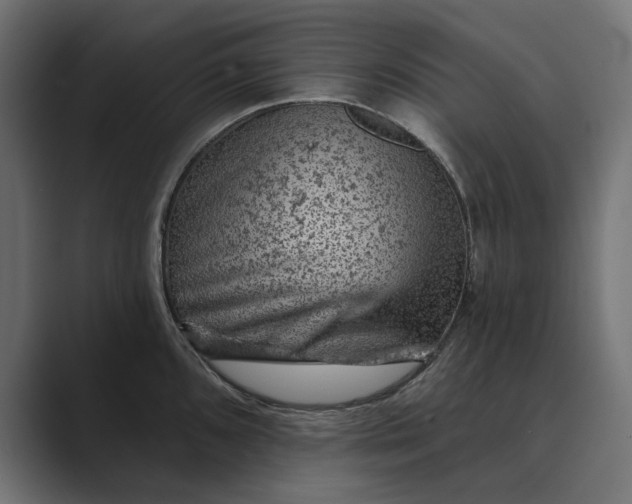 X0000089381096200706291312