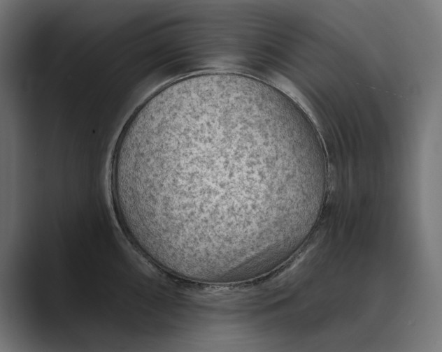 X0000089381098200706291312