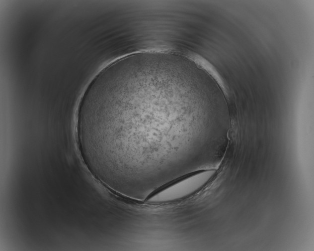 X0000089381099200706291312