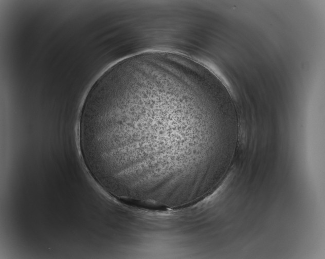 X0000089381100200706291312