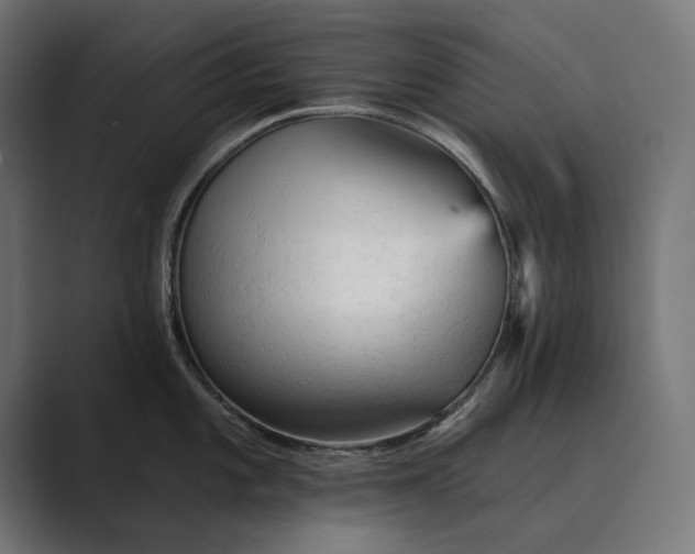 X0000089381101200706291312