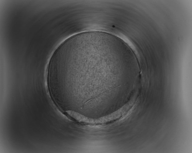 X0000089381102200706291312