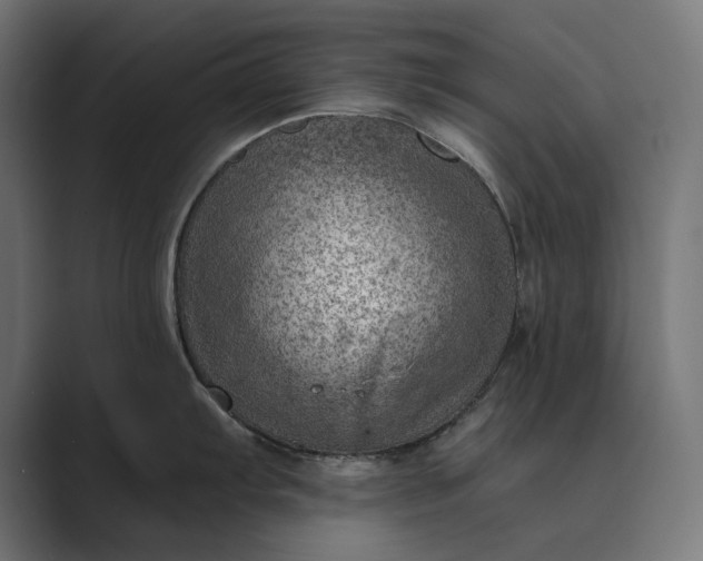 X0000089381103200706291312