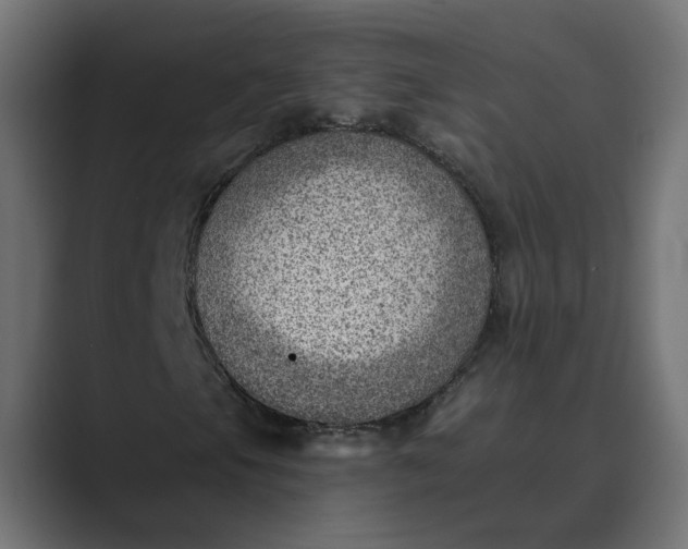 X0000089381105200706291312