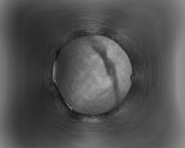 X0000089381106200706291312