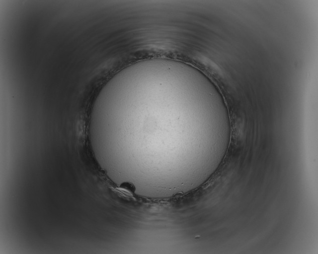 X0000089381110200706291312