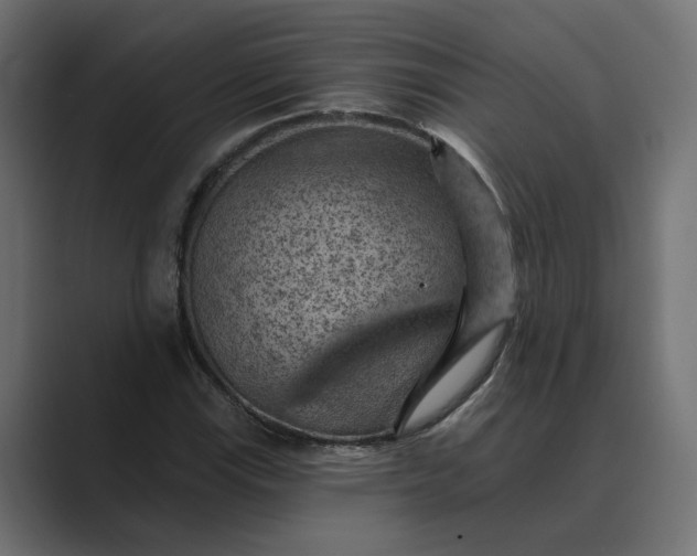 X0000089381115200706291312