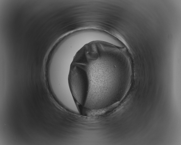 X0000089381116200706291312