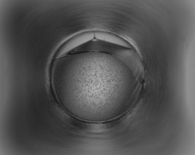 X0000089381120200706291312