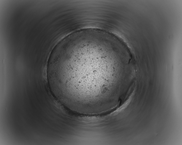 X0000089381121200706291312