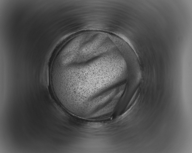 X0000089381123200706291312