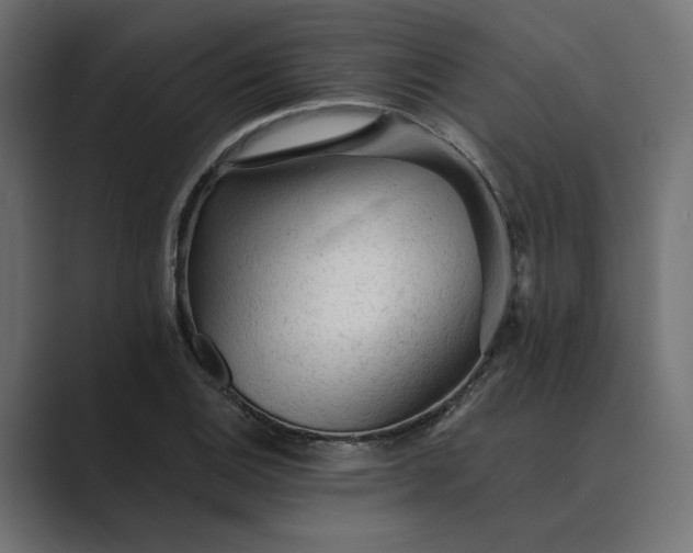 X0000089381124200706291312