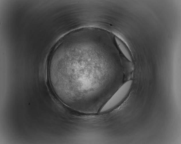 X0000089381127200706291312