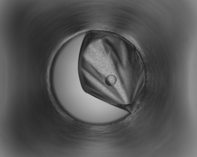 X0000089381128200706291312
